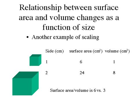 What is the relationship between surface area and?