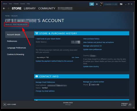 What is the richest Steam profile?