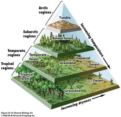 What is the richest ecosystem in the world?