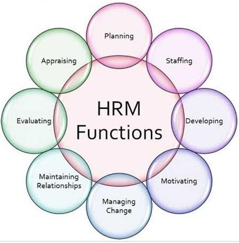 What is the role of HRDM in management?