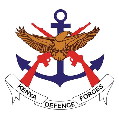 What is the role of KDF in Kenya?