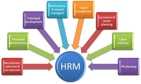 What is the role of MTO HR?