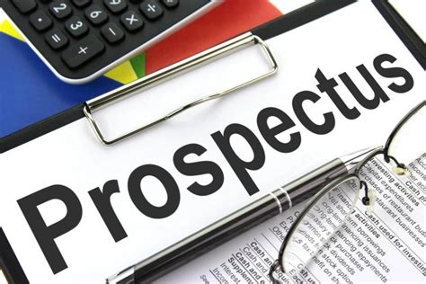 What is the role of a prospectus?