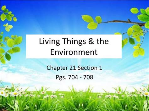 What is the role of each living thing in the environment?