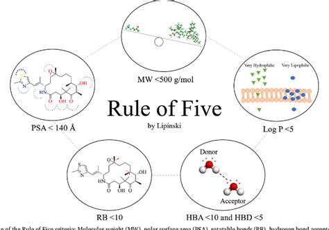 What is the rule of 5 in drug discovery?