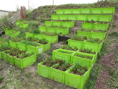 What is the safest container to grow vegetables?
