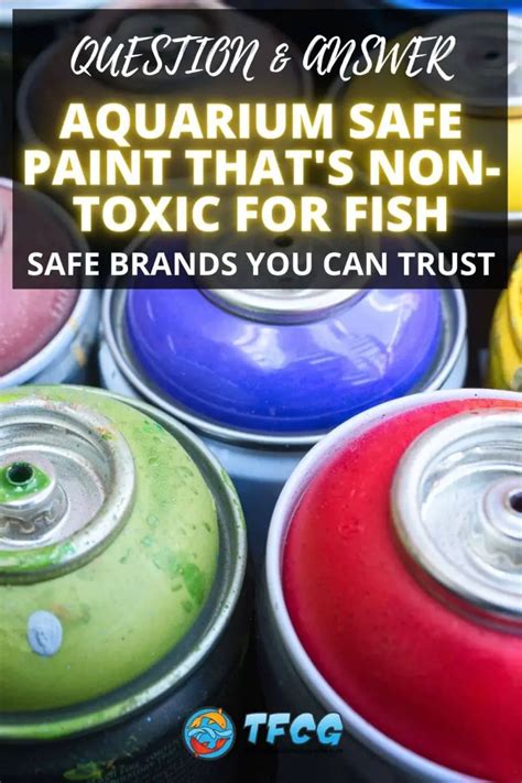What is the safest paint to use?