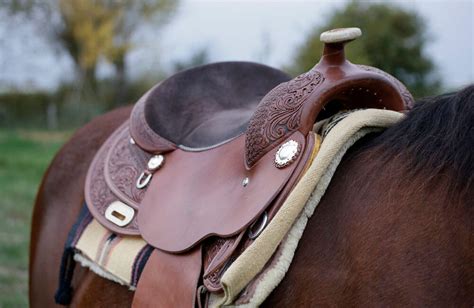 What is the safest saddle to ride in?