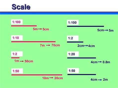 What is the scale 1 100 in CM?