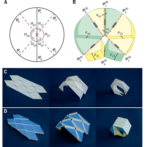 What is the science of origami?