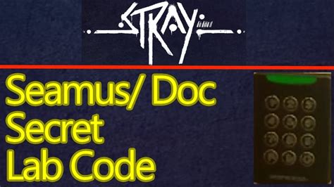 What is the secret code in Stray?