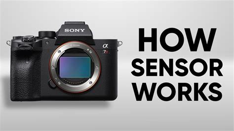 What is the sensitivity of the camera sensor?