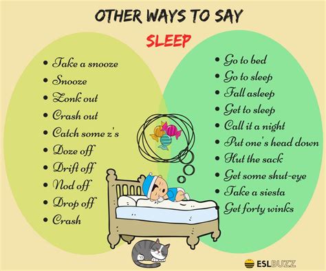 What is the slang word for sleep?