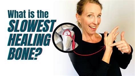 What is the slowest healing bone in the body?