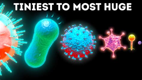 What is the smallest germ?