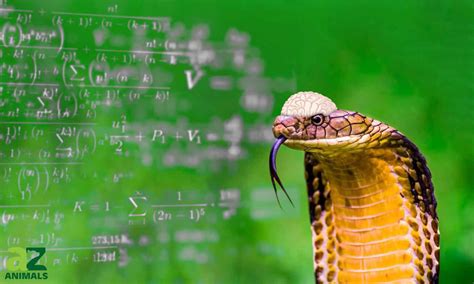 What is the smartest snake?