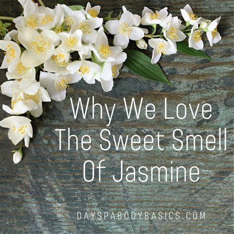 What is the smell of jasmine?