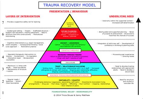 What is the social trauma model?