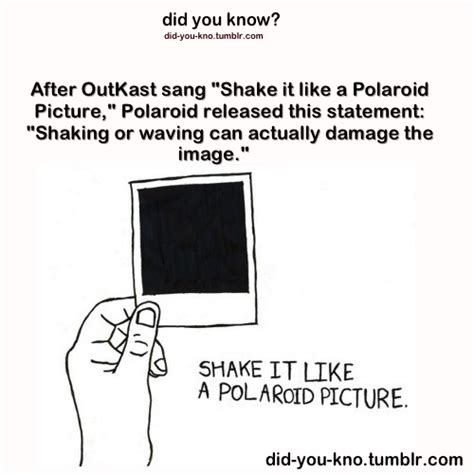 What is the song about shaking a Polaroid?