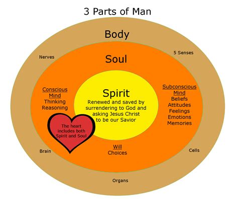 What is the soul made of?