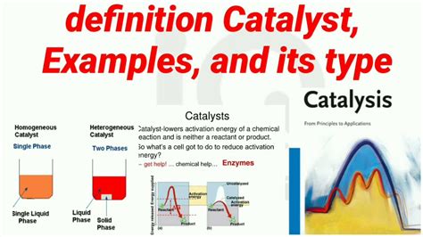 What is the specificity of a catalyst?