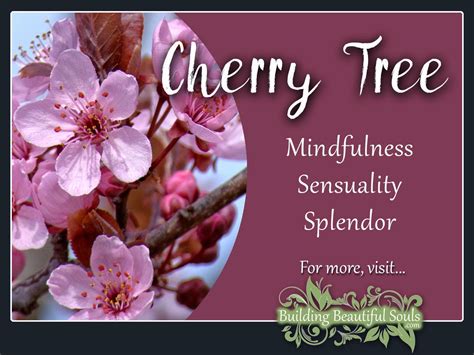 What is the spiritual meaning of the cherry?