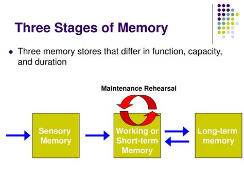 What is the stage model of memory?