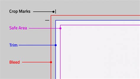 What is the standard bleed line size?