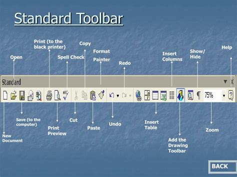 What is the standard toolbar in Microsoft Word?