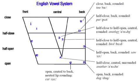 What is the straight line over a vowel?