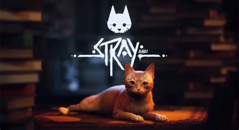 What is the stray cat game for kids?