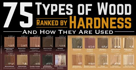 What is the strongest type of wood?
