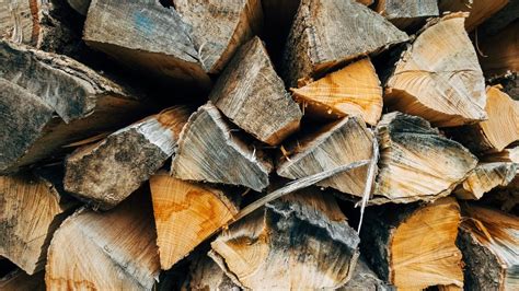 What is the strongest wood in the world?