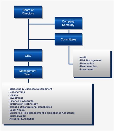 What is the structure of an insurance company?