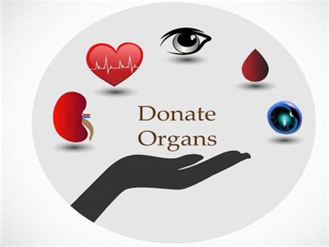 What is the symbol for organ donation?