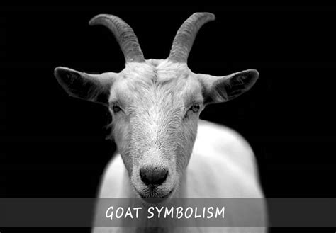What is the symbol of the goat?