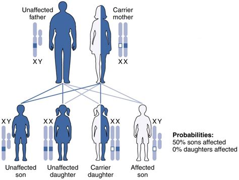 What is the syndrome between mother and son?