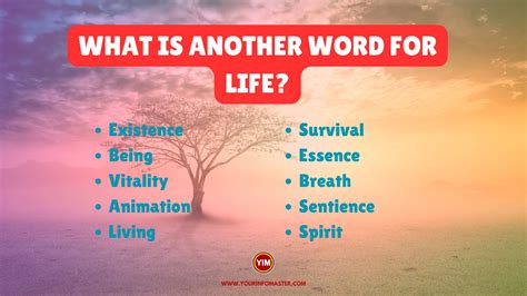 What is the synonym of a life?