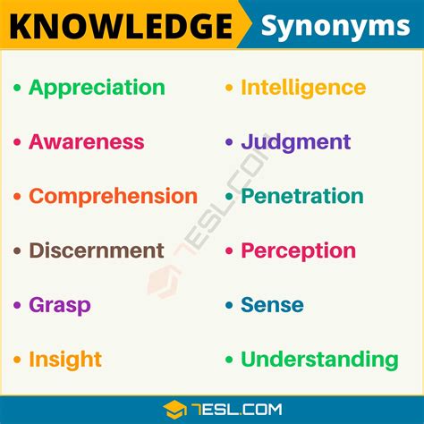 What is the synonym of insight knowledge?