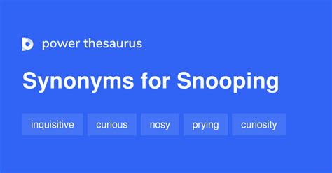 What is the synonym of snooping?