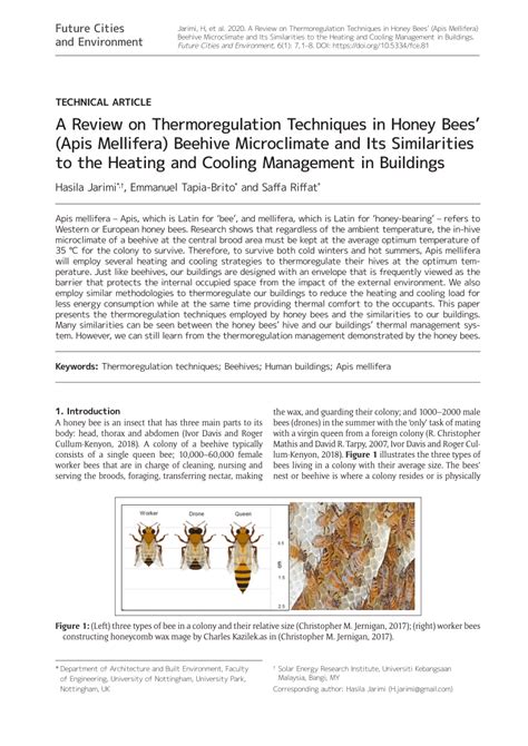What is the temperature regulation of bees?
