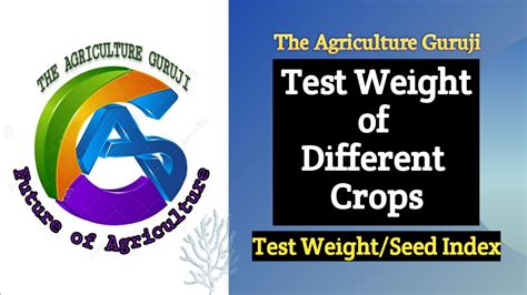 What is the test weight of a seed?