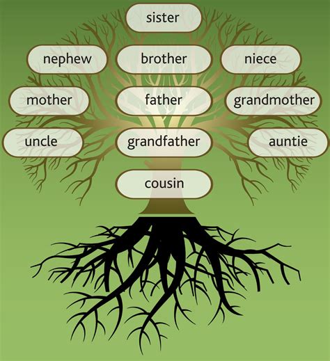 What is the theme of family tree?