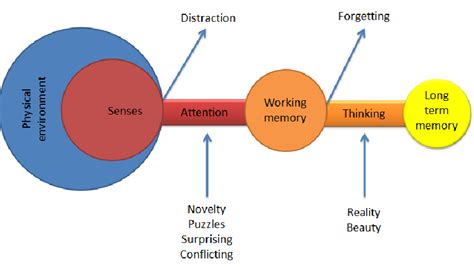 What is the theory of memory?