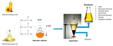 What is the transesterification reaction of sunflower oil?