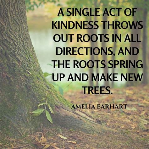 What is the tree kindness quote?