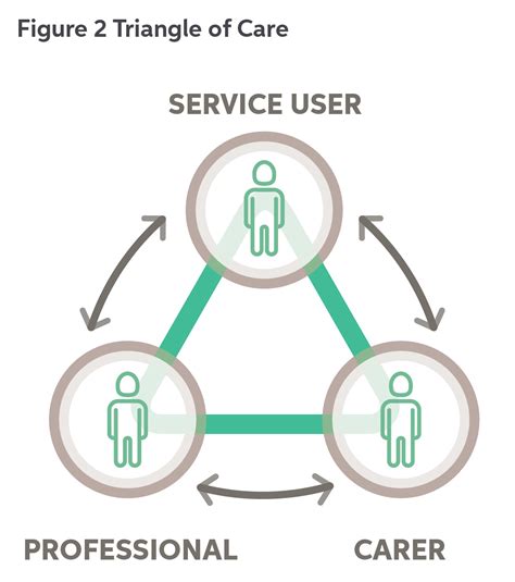 What is the triangle of care in care?