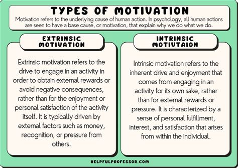 What is the type of motivation?