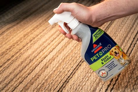 What is the very best carpet stain remover?