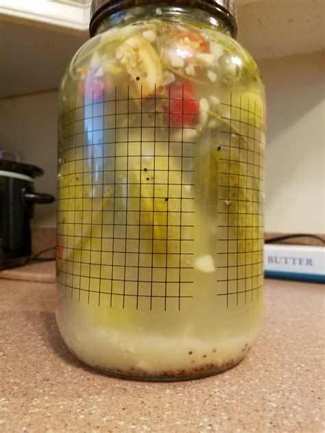 What is the white fuzz on my pickles?